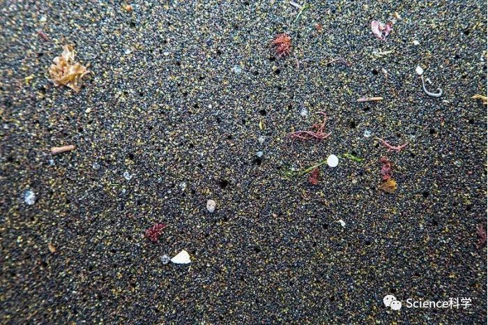 失踪的99％：为什么人们找不到绝大多数的海洋塑料垃圾？